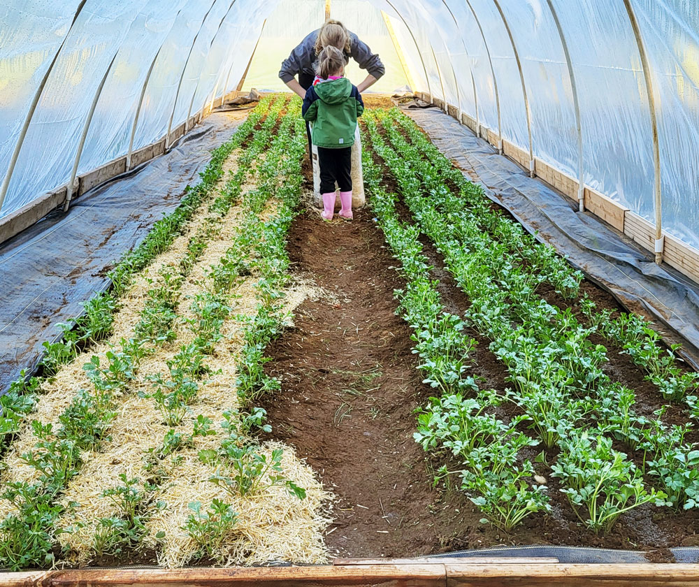 Family tending the A&M Floral greenhouse